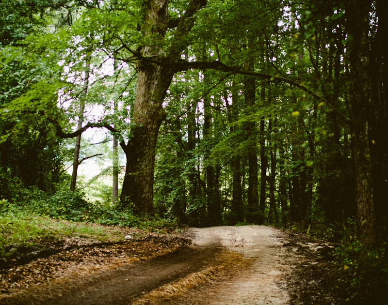 ddos在线压力测试平台
